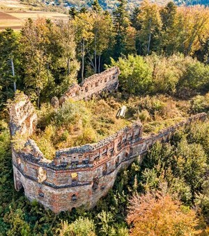 Руїни з душею: 7 замків Львівщини, про які не розповідають туристам