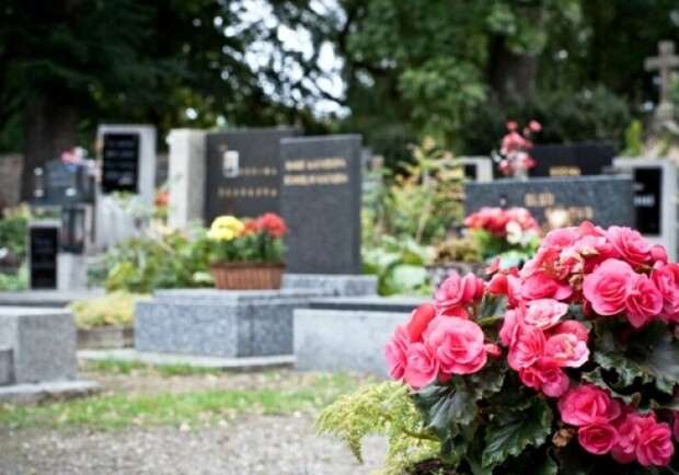 На  Полтавщине подростки устроли "шоу" на кладбище. Фото: https://cyprusbutterfly.com.cy/