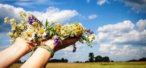 Десять выходных: как отдыхаем в июне на Троицу и День Конституции