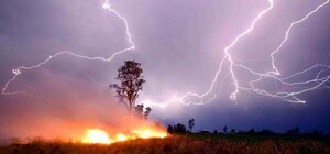 Из-за штормового: в Одессе объявили чрезвычайный уровень пожарной опасности