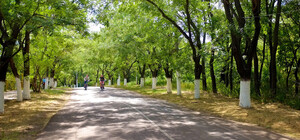 УПАЛ С ЭЛЕКТРОСАМОКАТА: НА ТРАССЕ ЗДОРОВЬЯ ПАРНЮ ПРОЛОМИЛО ЧЕРЕП