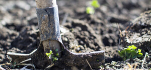 Жуть: под Днепром женщина закопала своего новорожденного ребенка