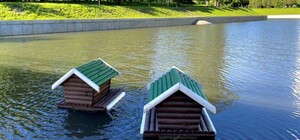 Не прошло и недели: в парке 