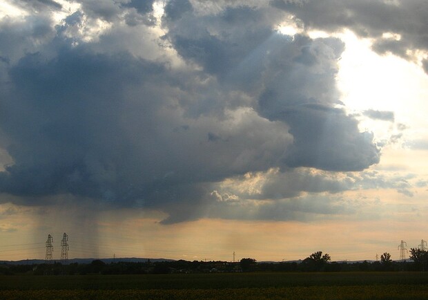Сильный ливень "смыл" фермерские поля. Фото:https://ru.wikiquote.org/