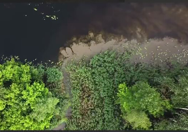 На Зеленом острове в Ворсклу вытекает неизвестное вещество. Фото: кадр из видео Георгия Стефановича