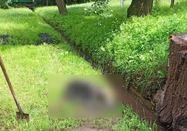Появились подробности о найденных в ливневом канале останках мужчины. Фото: https://pl.npu.gov.ua/