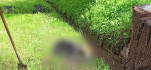 Опознала дочь: подробности о найденных в ливневом канале останках мужчины