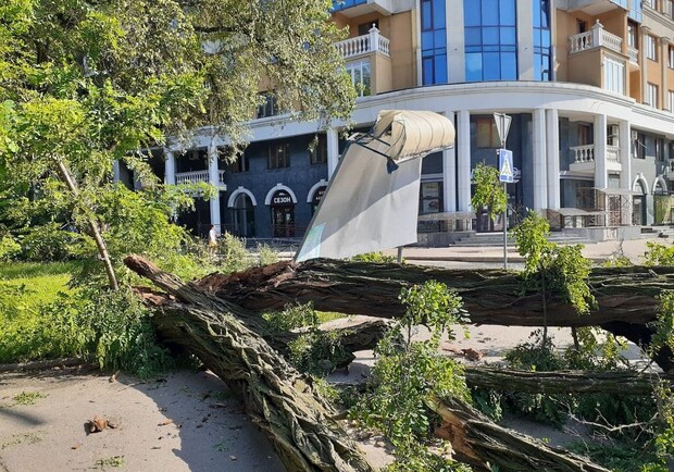 В Полтаве начался "деревопад". Фото: Zmist