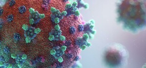 Двое умерших за сутки: какая статистика Covid-19 в Одесской области