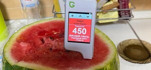 Лучше проверить: в Одессе нашли токсичные арбузы 