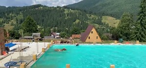 Відео дня: у Карпатах корова стрибнула в басейн із туристами