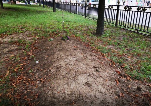 "Могилка" на Каштановой аллее в центре Полтавы. Фото: https://kolo.news/