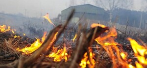 Отменяй шашлыки: в Одессе объявили чрезвычайный уровень пожарной опасности