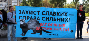 За права животных: в Запорожье прошла зоозащитная акция