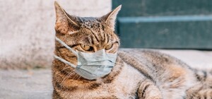 «Жовтий» рівень: в Україні посилили карантинні обмеження