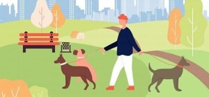 Смотри адреса: где в Харькове есть площадки для выгула и дрессировки собак