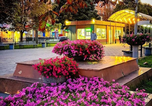 Доброе утро, Полтава. Фото: https://www.facebook.com/inspekciyablag.ua