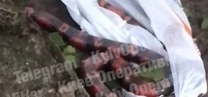Лежала в продуктовом пакете: на Оболони нашли мертвую экзотическую змею 