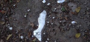 Опасная находка: посреди улицы прохожие заметили килограмм ртути