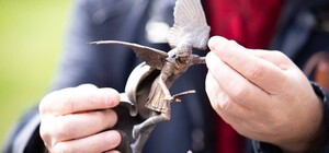 Можешь потрогать: на Владимирской горке появилась миниатюра фонтана Архистратига Михаила