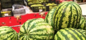 Целую фуру: в Днепре бесплатно раздавали арбузы (видео)