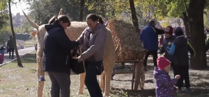 Ограбление века: в Днепре две женщины украли у детей тыкву (видео)