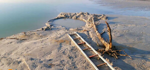 Успели вовремя спасти: на Днепропетровщине парень увяз в трясине