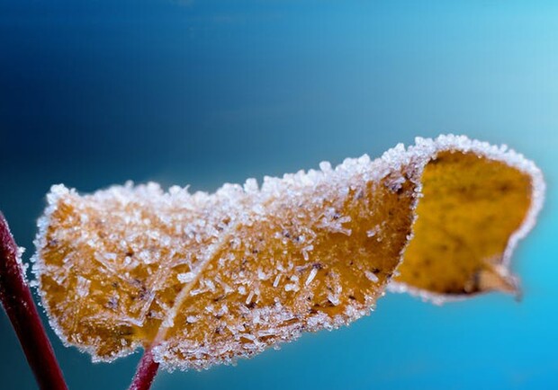 Какая погода будет в Полтаве 8 - 12 ноября - фото:interfax.com.ua