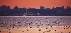 Холодный ноябрь: полюбуйся закатами и рассветами в Одессе