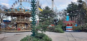 В центре Одессы начали устанавливать новогоднюю елку