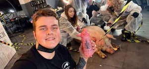 Киевляне по ошибке шлют деньги в приют на спасение свиньи из тату-салона