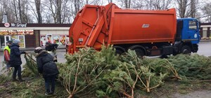 Чтобы не досталось никому: в Одессе торговцы полили брошенные елки солярой