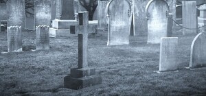 От чего запорожцы чаще всего умирали в прошлом году