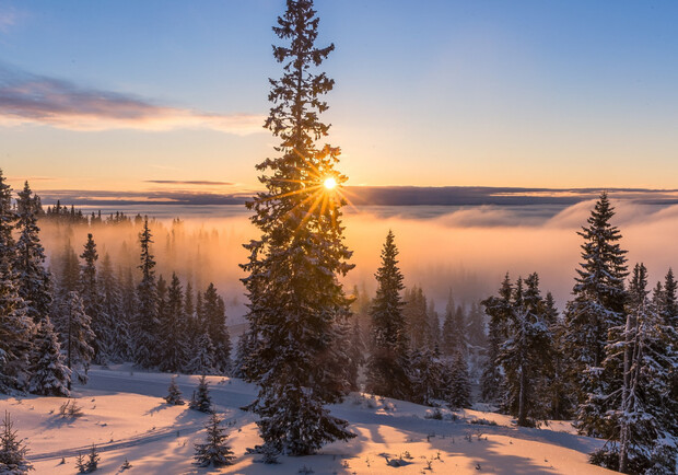 Доброе утро, Полтава 