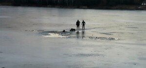 В Одесской области рыбак провалился под лед и погиб