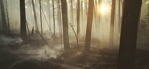 У Чорнобильській зоні відчуження горять понад 10 тисяч гектарів лісів