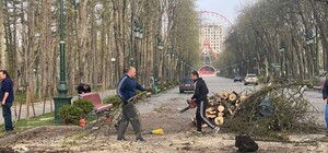 В парке Горького коммунальщики убирают после российских обстрелов (фото)