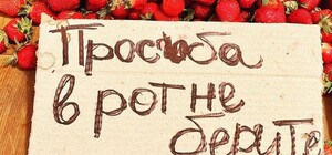 В Одессе начали продавать первую черешню, а клубника подешевела: цены
