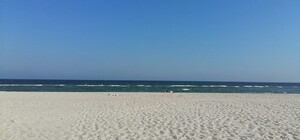 В Одесской области в море обнаружили холероподобный вибрион: что это значит