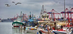 В Турции задержали российское судно с зерном из оккупированного Бердянска