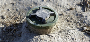 Под Киевом женщина подорвалась на мине во время прогулки по лесу