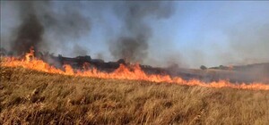 Под Запорожьем российские ракеты уничтожили более 70 гектаров пшеницы