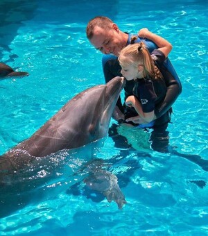 Бесплатное представление в дельфинарии и погашение новых марок: куда пойти в Одессе на День города