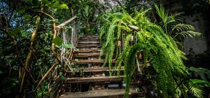 График и цены: как в Днепре на выходных будет работать ботсад