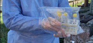 У Львівській області розпочали виявляти коронавірус у стічних водах 