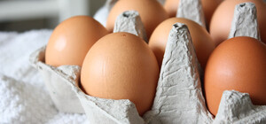 АМКУ проверяет, есть ли основания для подорожания куриных яиц в Украине
