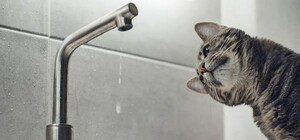 В Киевской области из-за отключения света могут быть перебои с водой