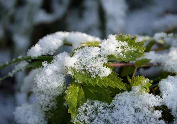 До -7 та перший сніг: яка погода буде на Полтавщині 