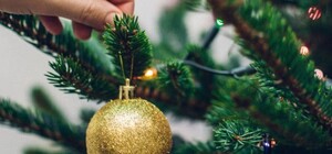 В Днепре будет новогодняя елка, которую можно украсить: где и когда