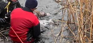 В Днепропетровской области в водоеме обнаружили тело рыбака